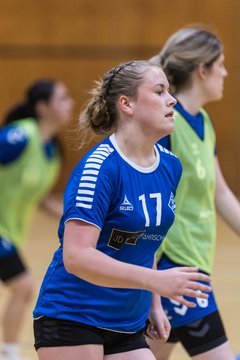 Bild 100 - wBJ TSV Ellerau - HSG Stoertal Hummeln : Ergebnis: 26:19